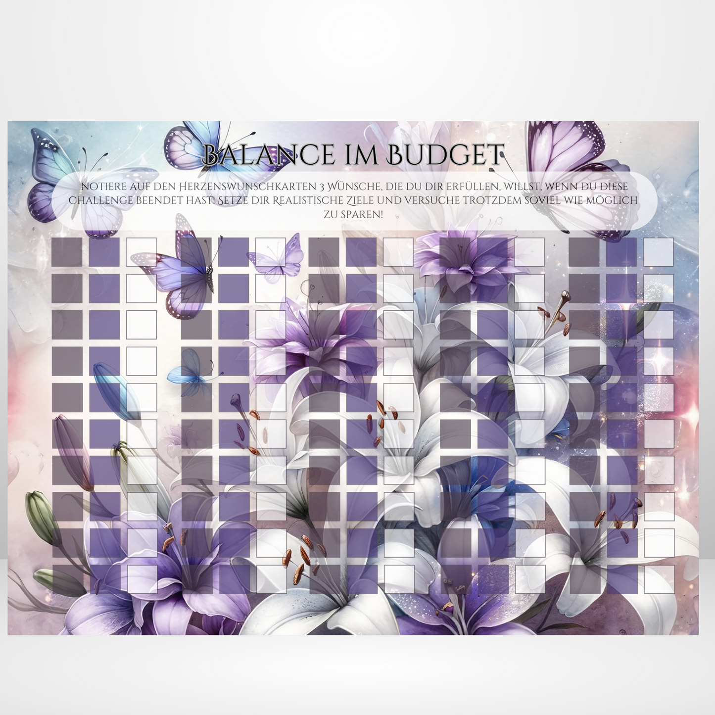 Sparchallenge "Balance im Budget"